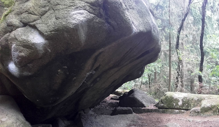 Wandern im Harz