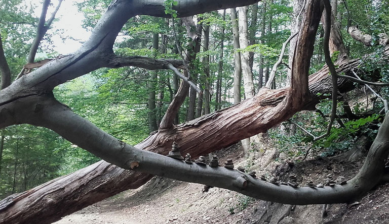 Wandern im Harz