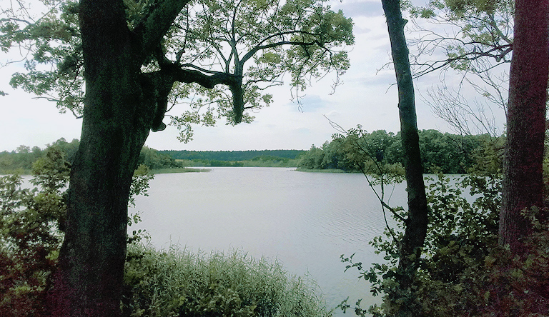 Badestelle am Kölpinsee, Götschendorf UM