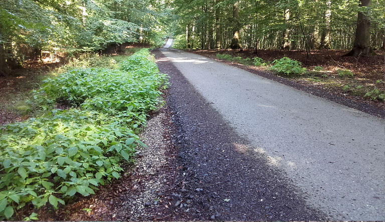 Beinhart Jasmund. Rad-Wanderweg: Nein danke. Eine Zumutung.