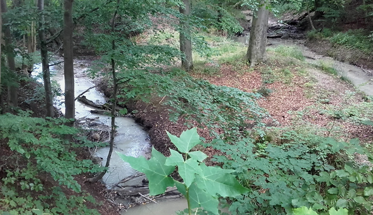 Brunnenaue Sagard, der Schleiermacher-Blick