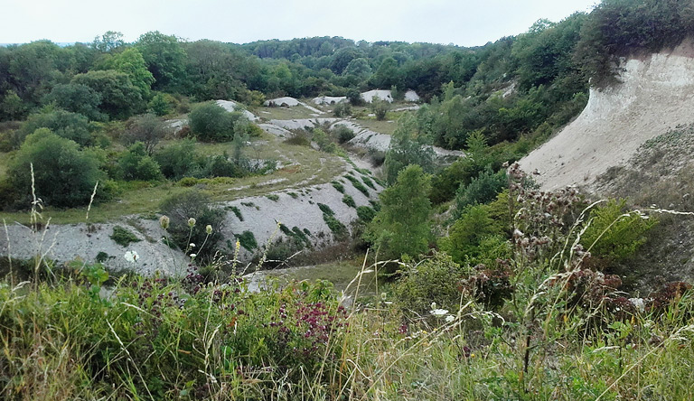 Am Reitweg Gummanz