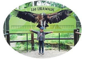 Eberswalder Erinnerung: 2017