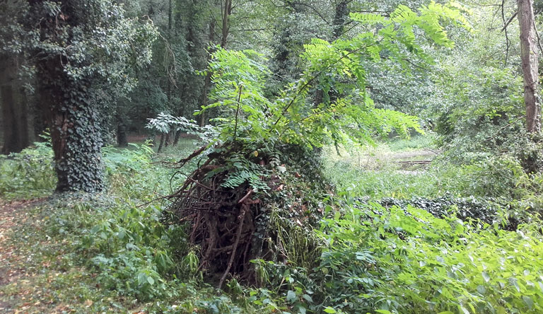 Märkischer Naturgarten