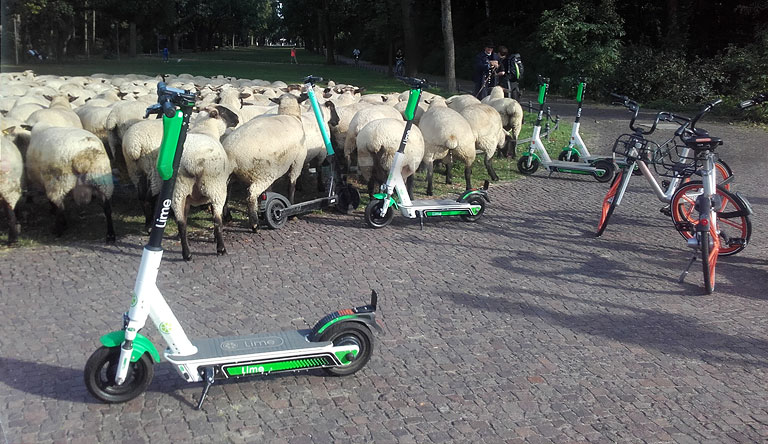Berliner Schafstag mit E-Roller