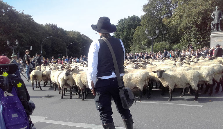 Schafs-Demo am Grosen Stern in Berlin