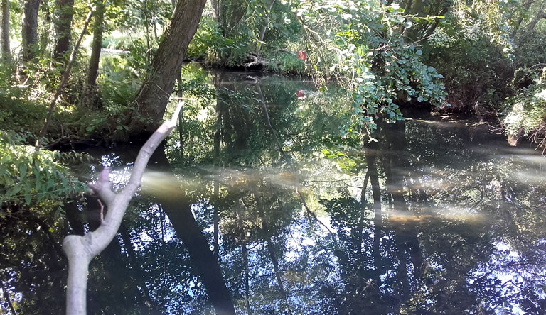 Brücke über die Schwärze Höhe Oberförsterei Ebeswalde