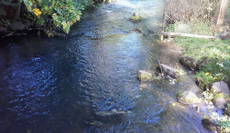 Brücke über die Schwärze an den Kleingärten