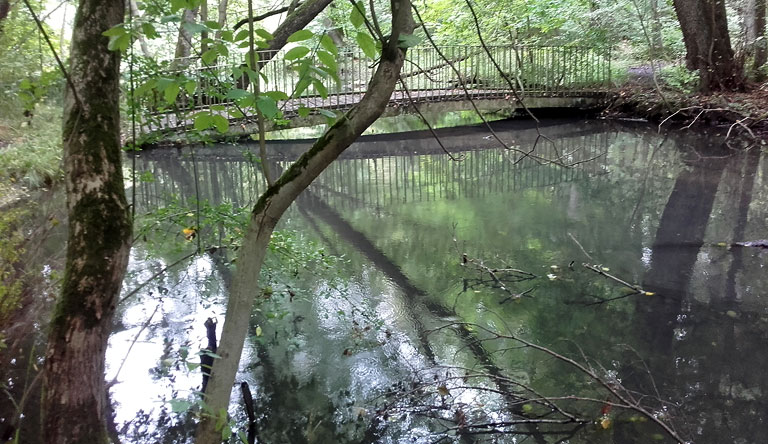 Brücke über die Schwärze Richtung Eberswalder Zoo