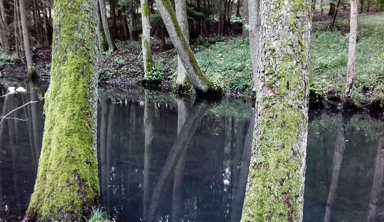 schwärzer als schwarz: die Schwärze