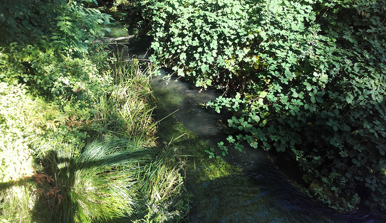 Schwärze an der Brücke in Spechthausen