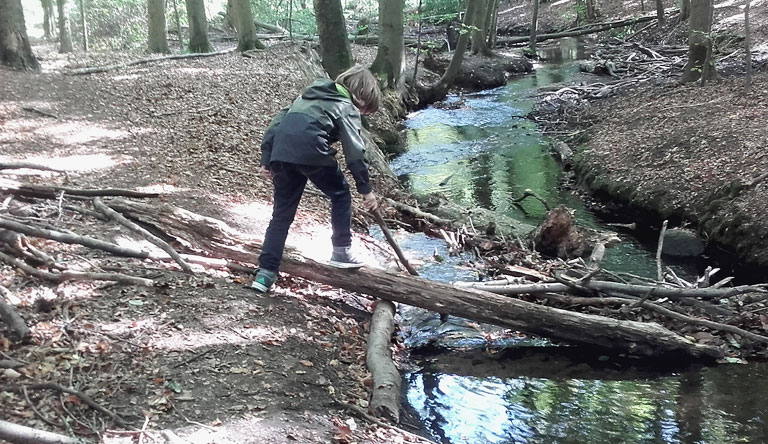 Spielideen am Herthafließ