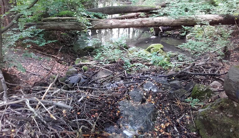 ziemlich verstopfter Wasserfall
