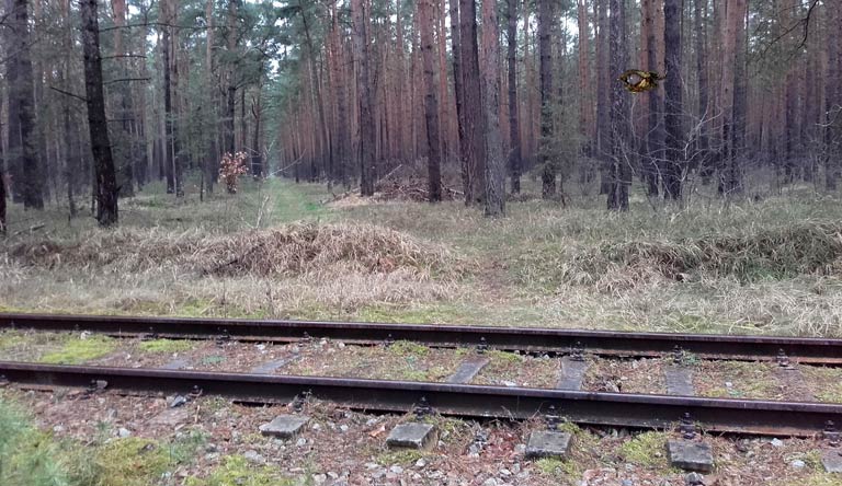 Teslagelände, Blick Richtung Autobahn