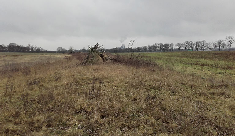 Rüdersdorfer Kalkwerk am Horizont