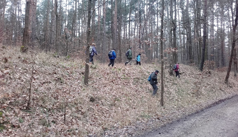 Überqueren des kerzengeraden Wander- und Fahrradweges