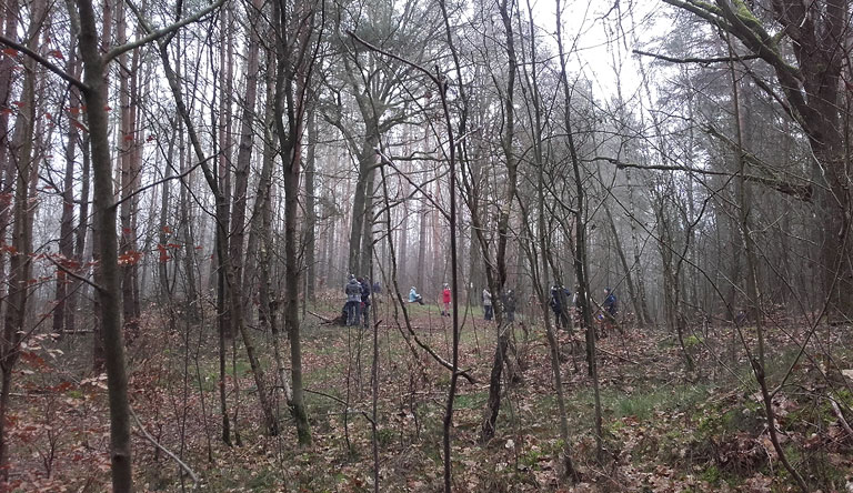 Frühstück im Wald