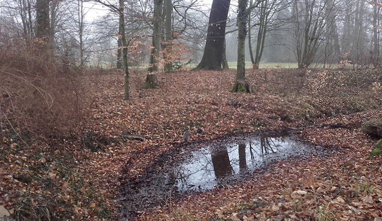 Landschaftspark Wiesenburg