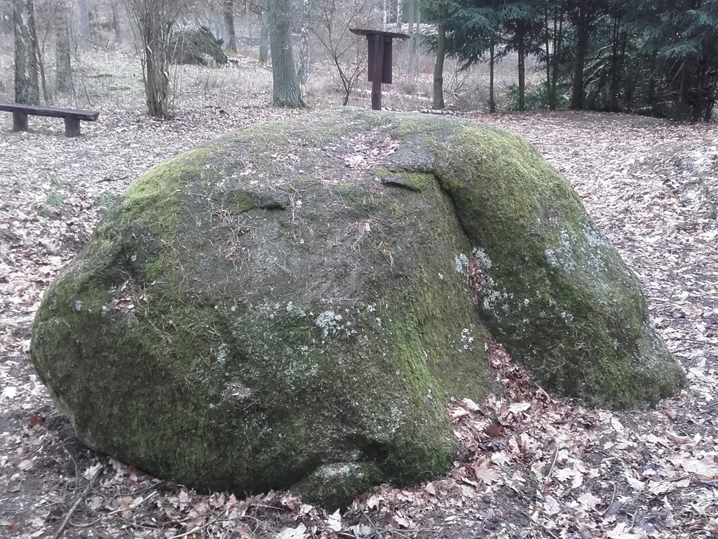 Findlinge im Stadtwald Frankfurt, Försterstein