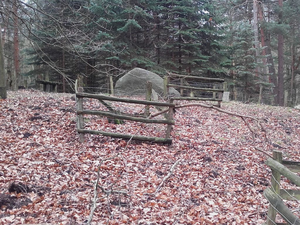 Findlinge im Stadtwald Frankfurt, Kappe