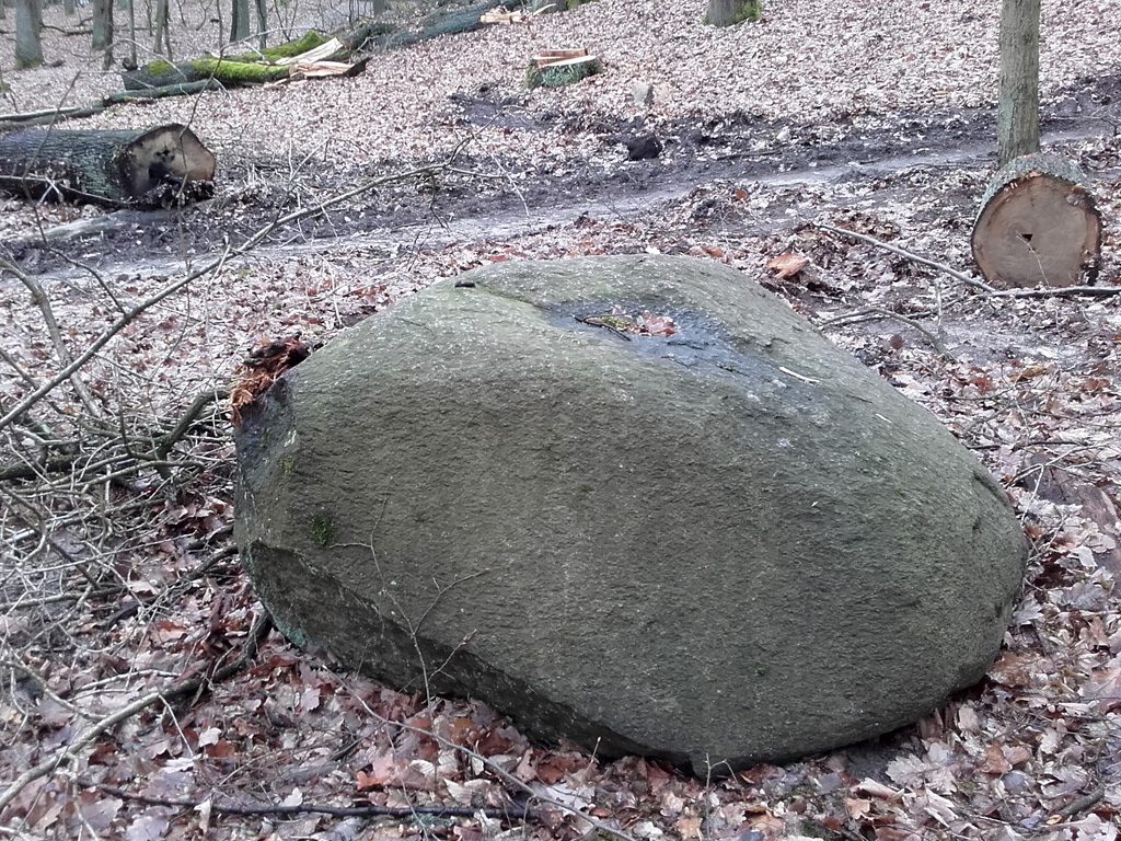 Findling östlich von Wupis Tränke