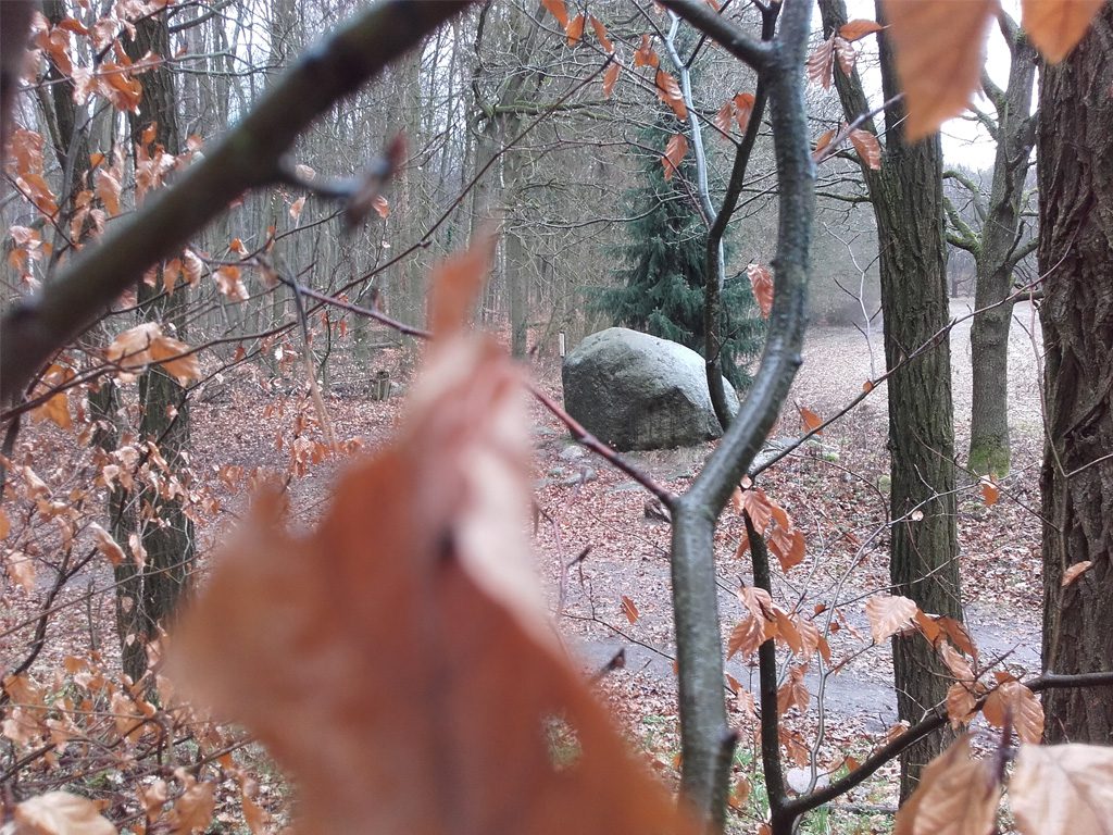 Findlinge im Stadtwald Frankfurt, Großer Stein