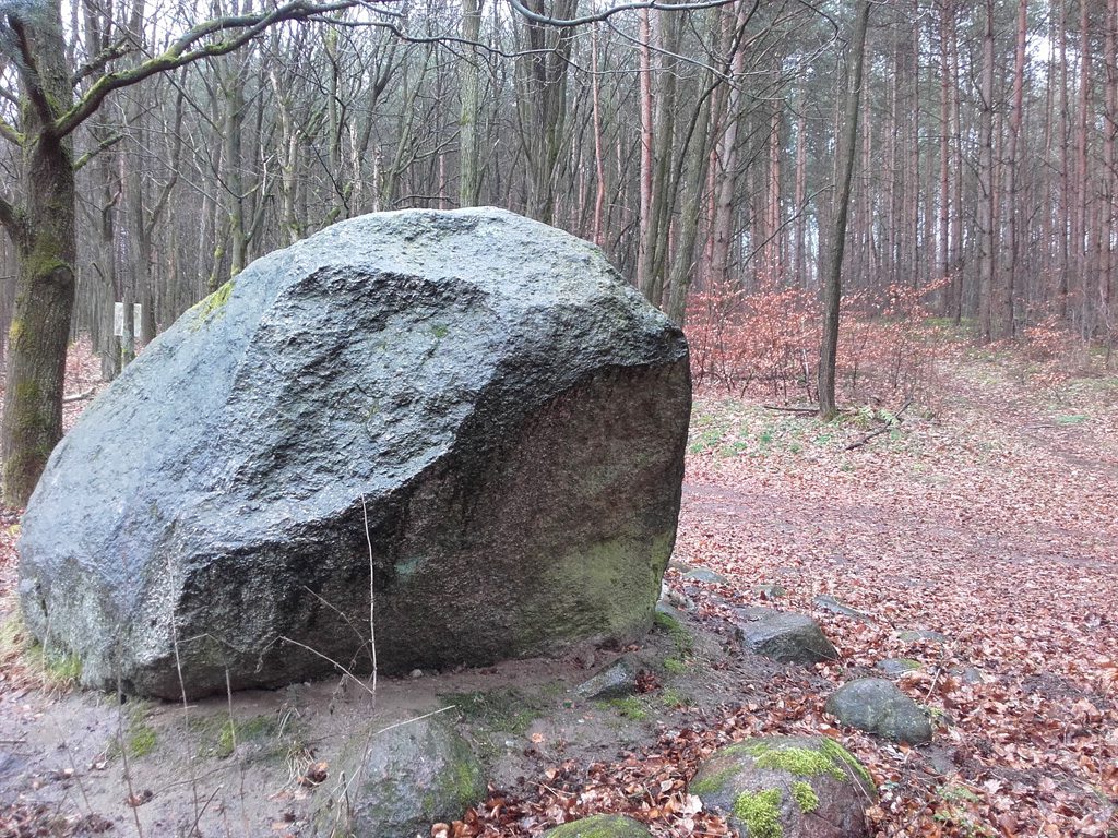 Findlinge im Stadtwald Frankfurt, Großer Stein