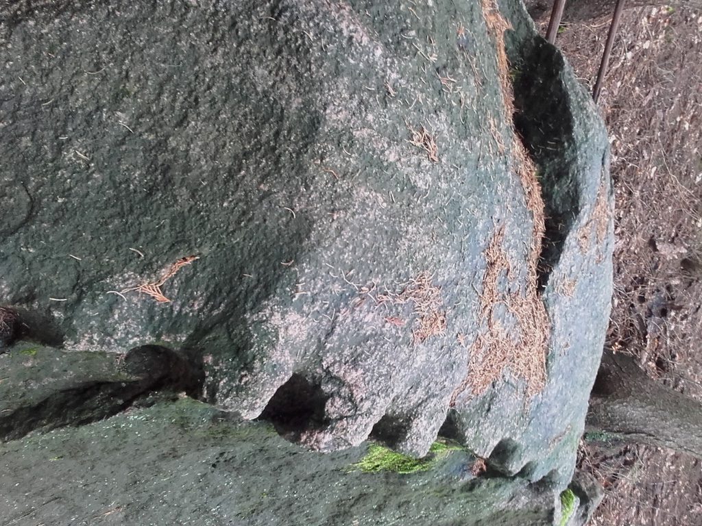 Findlinge im Stadtwald Frankfurt, Näpfchenstein, Aufsicht mit Bohrungen