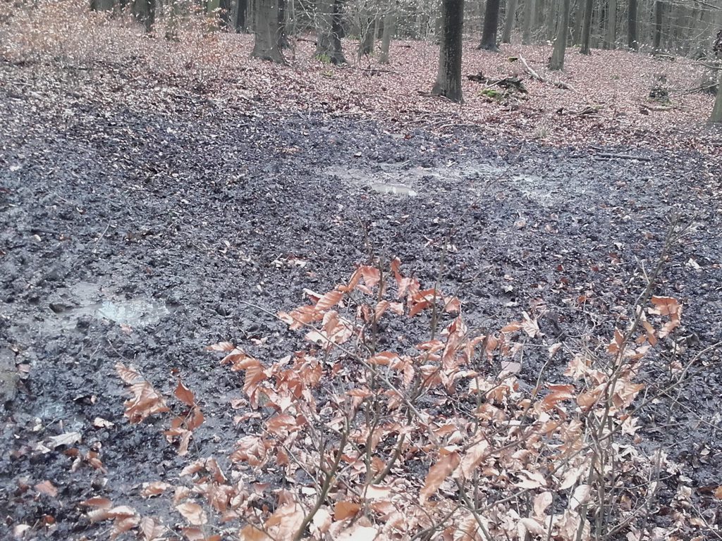 Naturlehrpfad im Stadtwald Frankfurt(O)