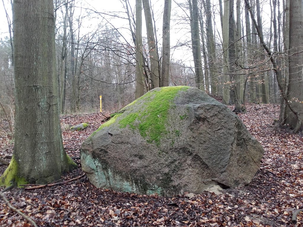 Findlinge im Stadtwald Frankfurt, Trassenstein
