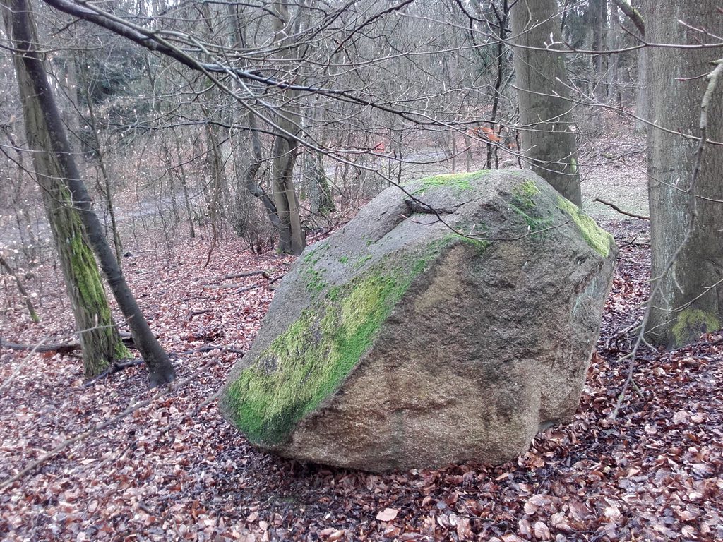 Findlinge im Stadtwald Frankfurt, Trassenstein