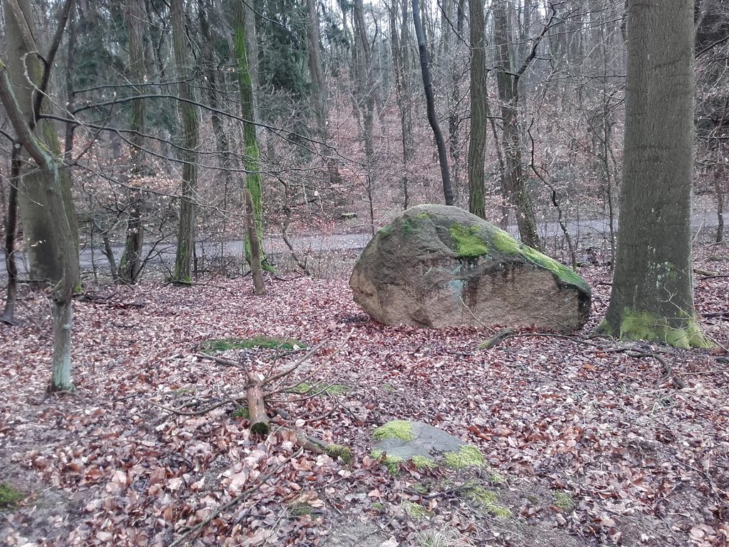 Findlinge im Stadtwald Frankfurt, Trassenstein