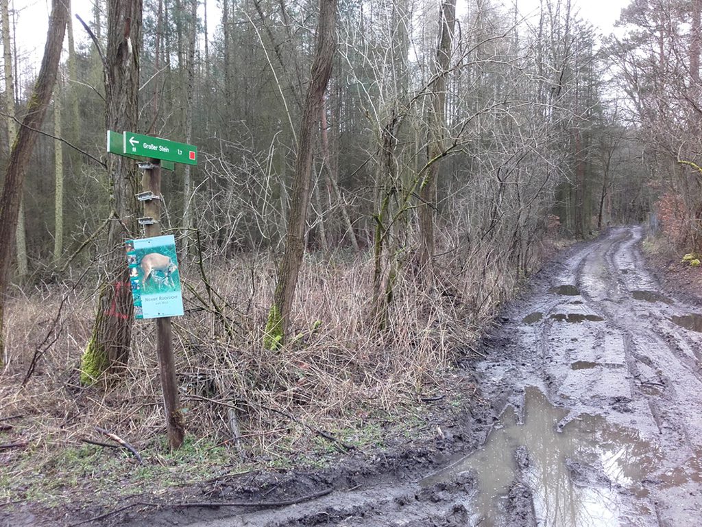 Findlinge im Stadtwald Frankfurt, Wegweiser Großer Stein