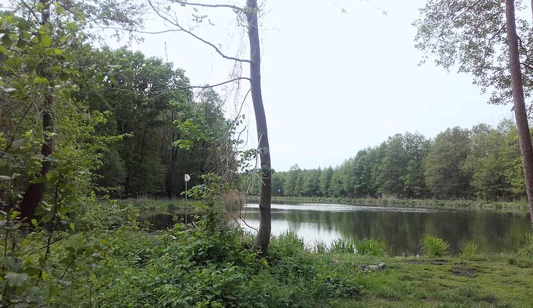 Dehmsee an der Autobahnbrücke Berkenbrück