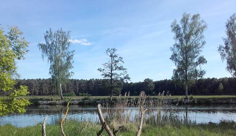 Das Land und die Bäume des Kuckucks