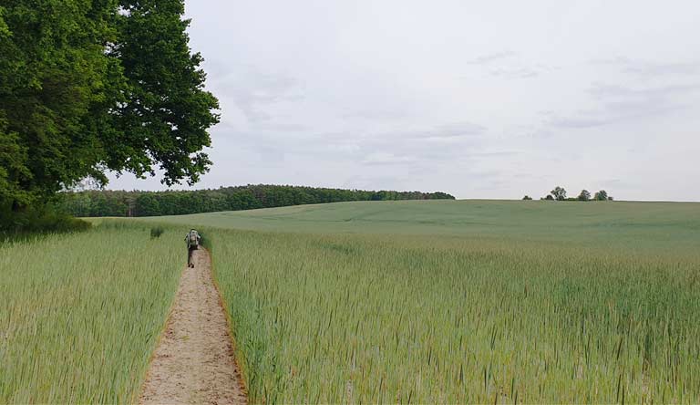 Weitwege in märkisch Oderland, copyright A. Azhecheva