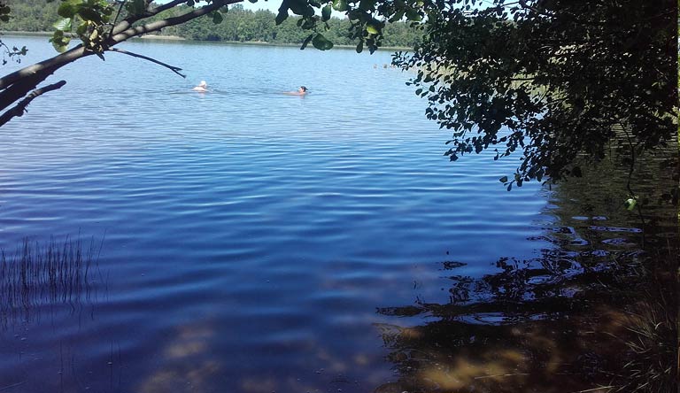 Badepause am Klobichsee