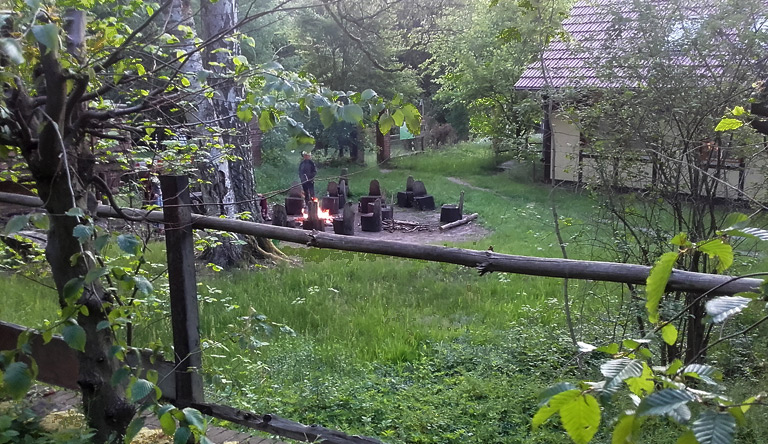 Erinnerung an meine Bergwaldprojekte