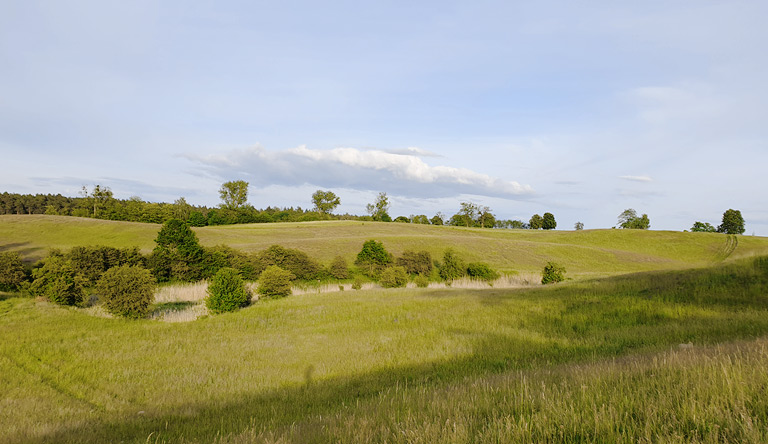 Wellige Hochflächen so weit der Blick reicht