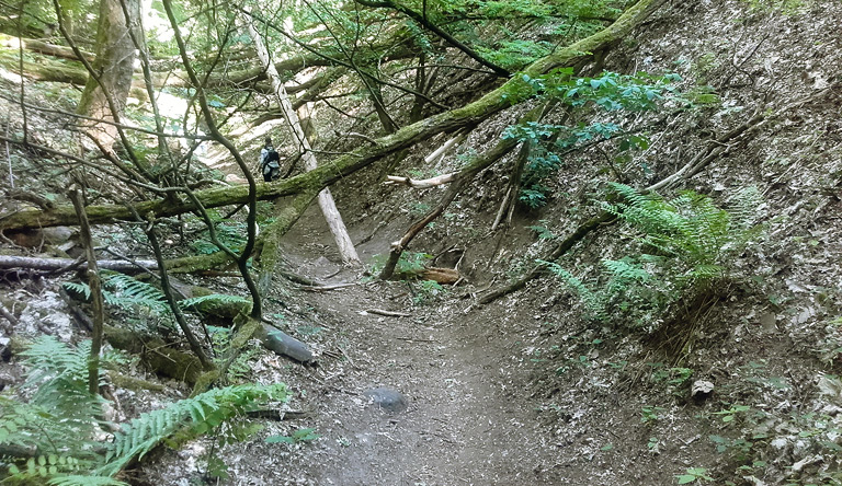 Wolfsschlucht von oben