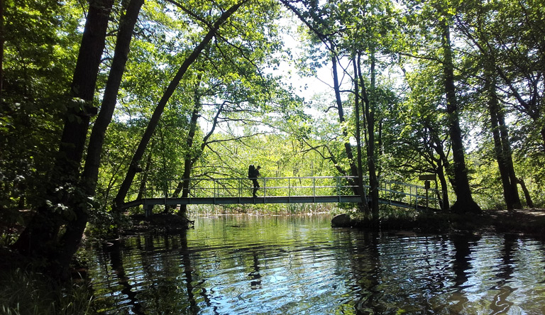 Zwischen Großem und Kleinem Däberitzsee